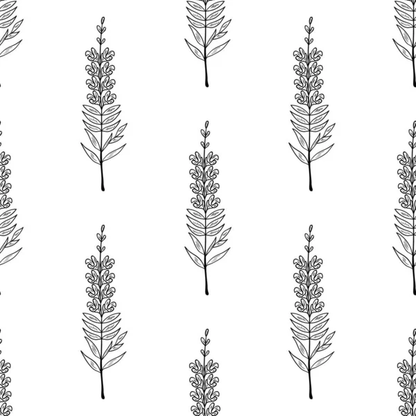 Snapdragon, dikişsiz b-w ww nokta bitki izole