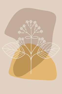 quina kabuk ağacı, soyut, poster, asgari bitki