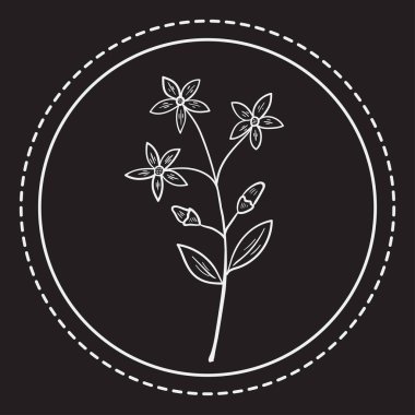 Acı otlar p 1 logo 1 ww bitki dd