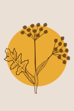 Angelica, soyut, poster, minimal dd ww bitkisi