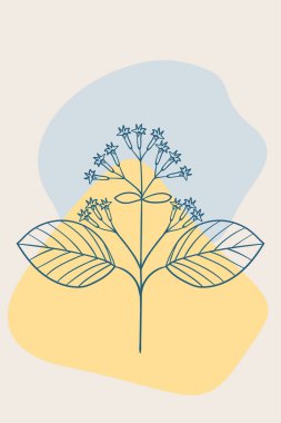 quina ağaç kabuğu, soyut, poster, asgari ww