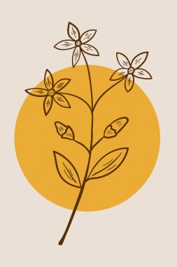 Centaury, soyut, poster, minimal dd ww bitki