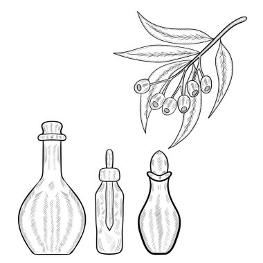 Okaliptüs 2 set d ww bitki şişesi!