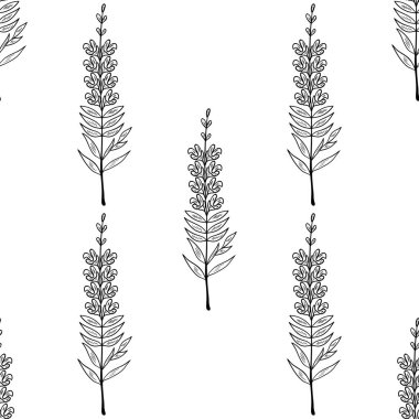 Snapdragon, dikişsiz b-w dd ww ww herb isol