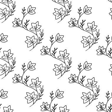 Calumba, dikişsiz b-w dd ww ww bitkisel isol