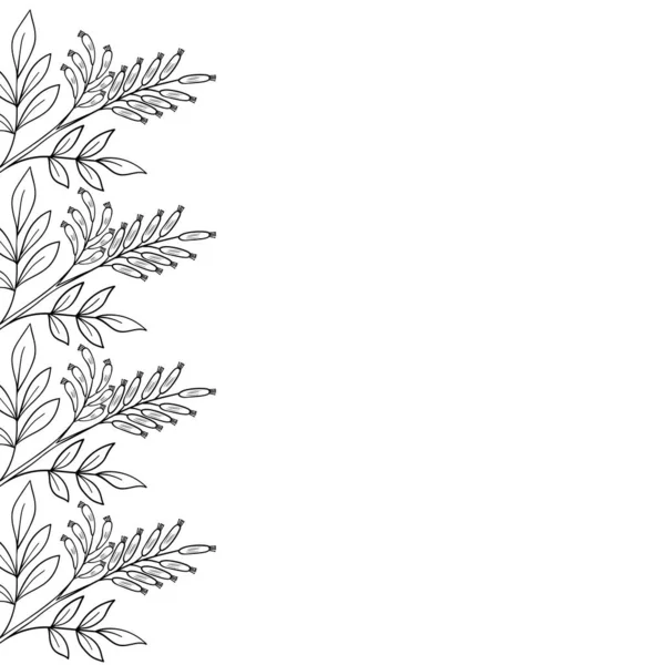 Bois amer, cadre, bordure dd ww herbe isol, — Image vectorielle