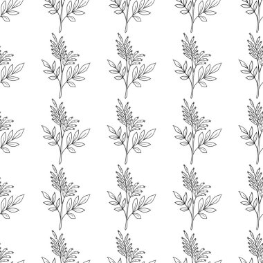 Keskin otlu kusursuz desenli Quassia Amara eskiz tarzında. Acı odun, ya da amargo, acı kül, büyük adam, elementler ve çiçekler, yapraklar ve böğürtlen. El çizimi karalama çizimi.