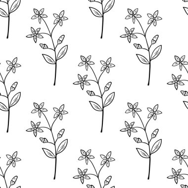 Acı otlarla kusursuz desenli, eskiz tarzında yaygın bir sentetik. Centaurium eritraea veya Avrupa centaury, element ve çiçekler, yapraklar ve böğürtlen. El çizimi karalama çizimi.