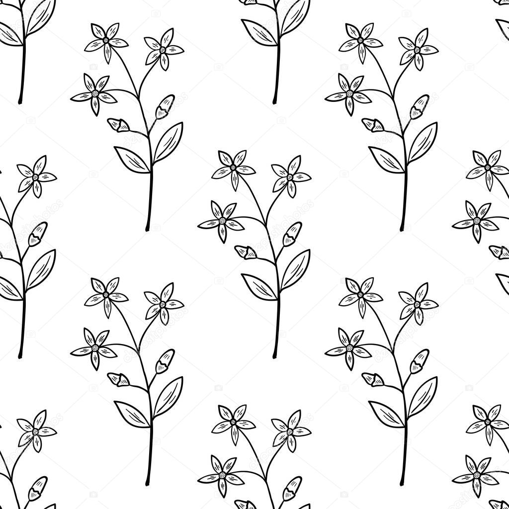 Seamless pattern with bitter herbs common centaury in sketch style. Centaurium erythraea or European centaury, elements and flowers, leaves and berries. Hand drawn doodle illustration.