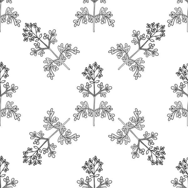 Rue común, seamless b-w dd ww isol — Vector de stock