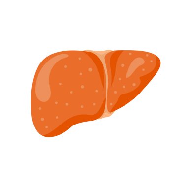 Karaciğer hasarı ayarlanıyor.