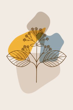 quina ağaç kabuğu, soyut, poster, minimal dd