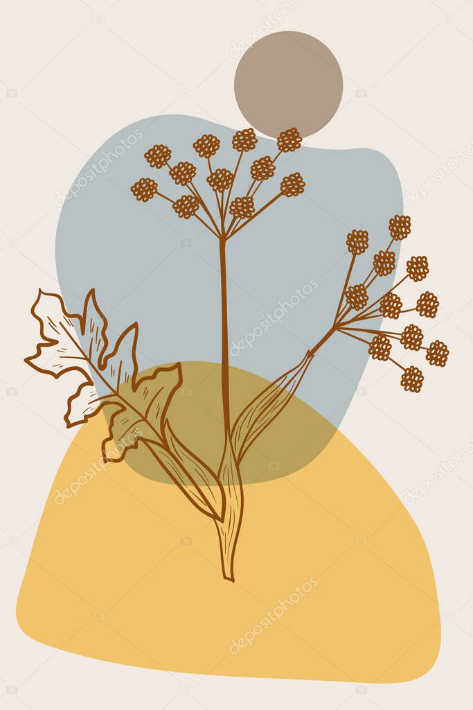 Angelica, abstract, poster, minimal dd ww herb