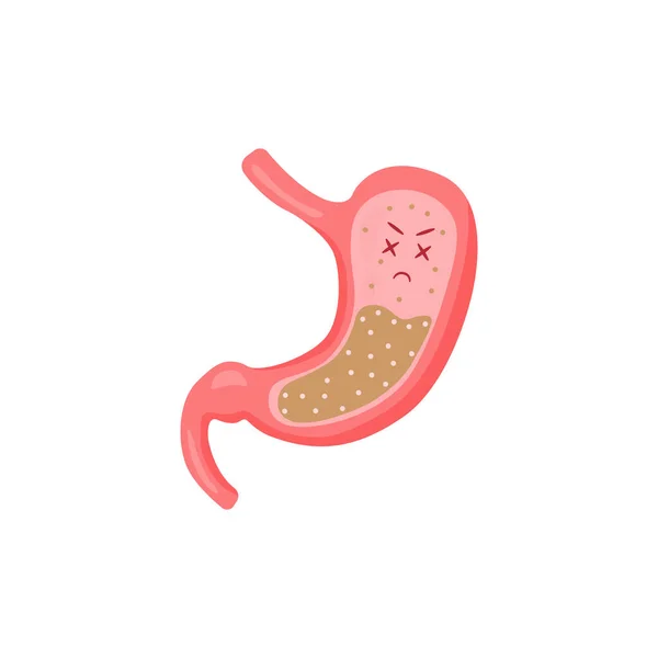 Здоровый желудок — стоковый вектор