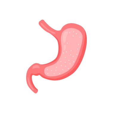 Mide bulantısı 2 dd ww