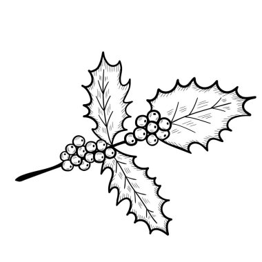 Holly yaprakları, set, skeç 2 dd ww isol