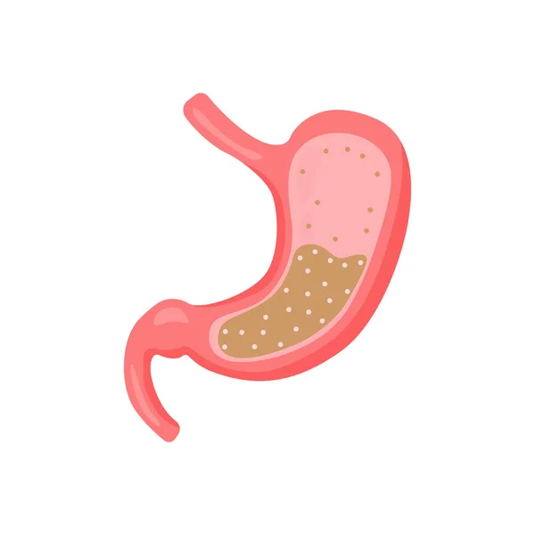 胃の健康的な胃の病気のセット2 dd ww — ストックベクタ