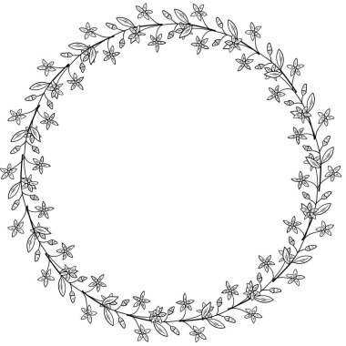 Centaury çerçeve sınırı dd ww bitkisel izol