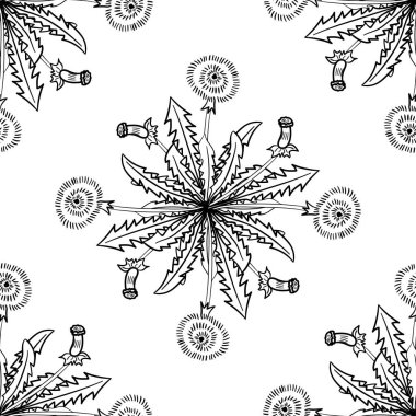 Karahindiba, dikişsiz b-w dd ww ww bitki izol