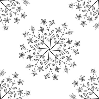 Centaury, lekesiz b-w dd ww ww bitkisel isol