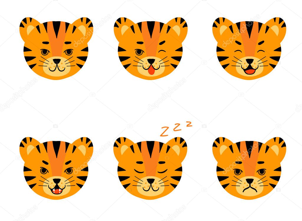 tiger face head set dd ww isol