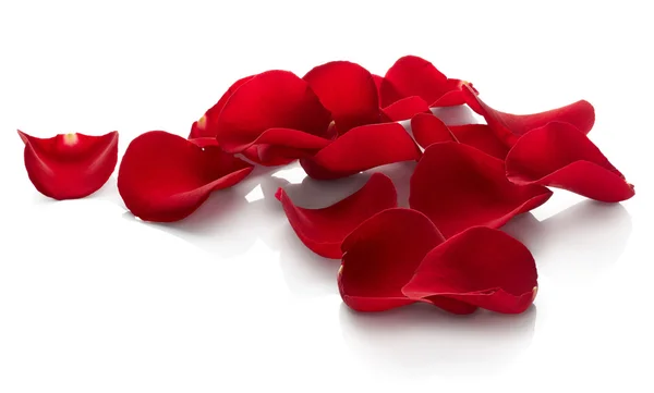 Red rose petals Stock Picture