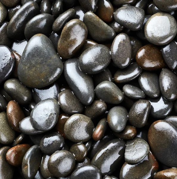 Mokry morze okrągłe kamienie — Zdjęcie stockowe