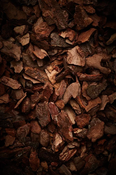 Decorative tree bark chips — Stock Photo, Image