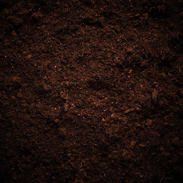 Black Soil texture — Stock Photo, Image