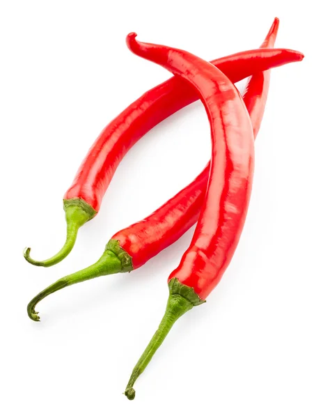 Pimientos chile sobre blanco — Foto de Stock