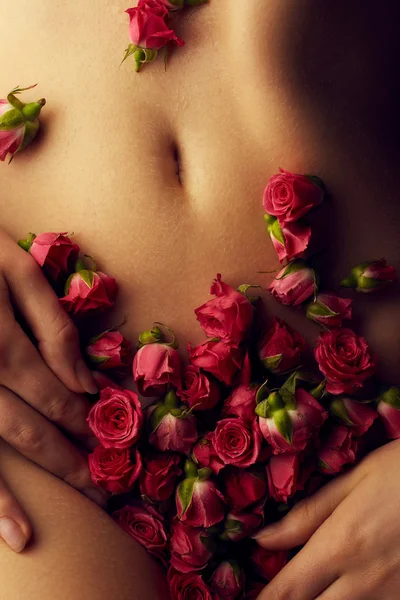 Corpo feminino com rosas — Fotografia de Stock