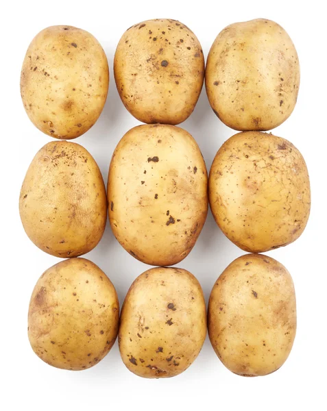 Patatas orgánicas maduras — Foto de Stock