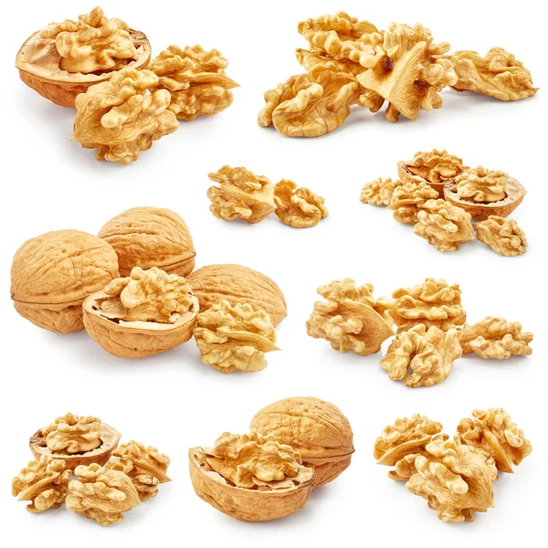 Conjunto de nueces saludables —  Fotos de Stock