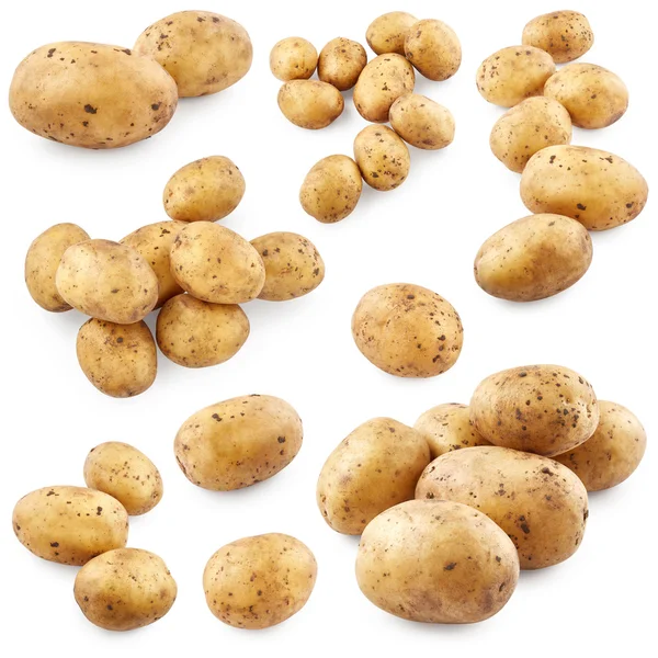 Reihe roher frischer Kartoffeln — Stockfoto