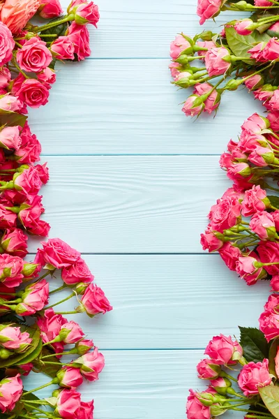 Beautiful pink roses — Stock Photo, Image