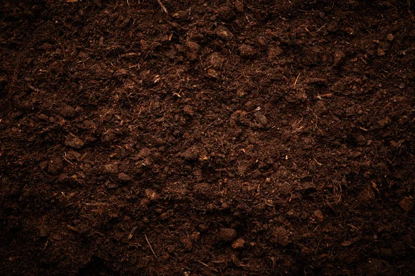 Agricultural soil background — Stock Photo, Image