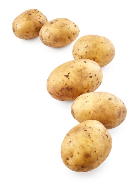 Dojrzałych ekologicznych ziemniaków — Zdjęcie stockowe