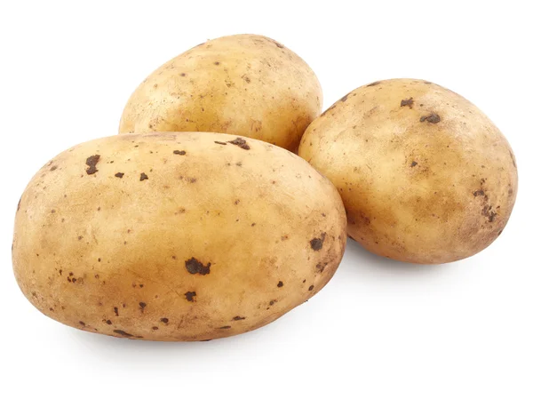 Mogen ekologisk potatis — Stockfoto