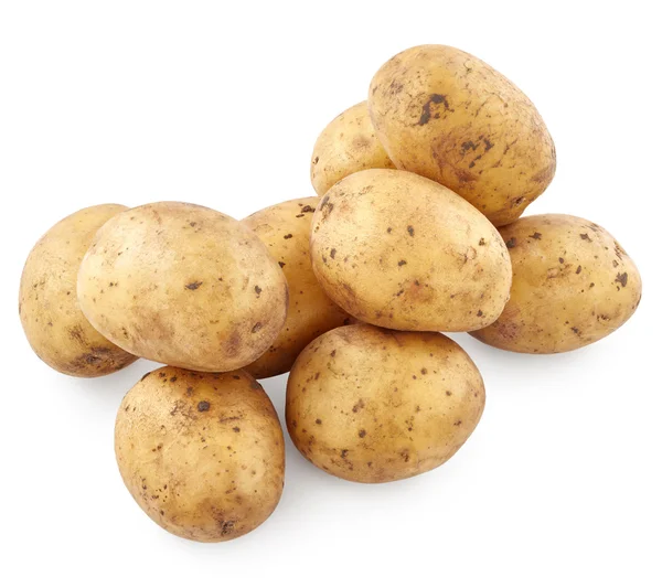 Mogen ekologisk potatis — Stockfoto