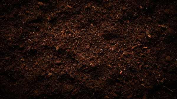 Ciemnym tle gleby — Zdjęcie stockowe