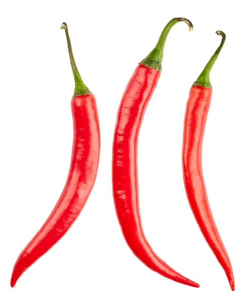 Chilipepers geïsoleerd op wit — Stockfoto