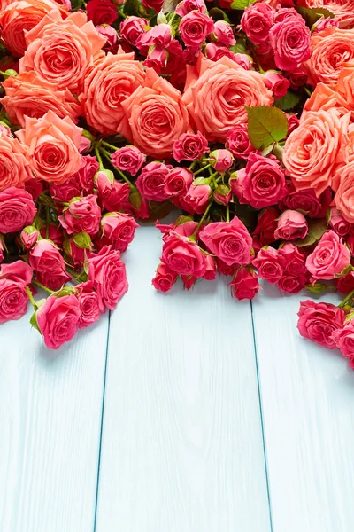 Lindas rosas perto — Fotografia de Stock