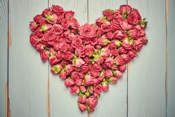 Heart shape of roses — Stock Photo, Image