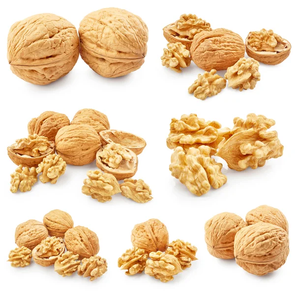 Nueces aisladas en blanco —  Fotos de Stock