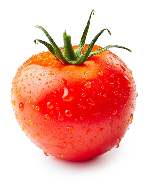 Tomate avec gouttes d'eau — Photo