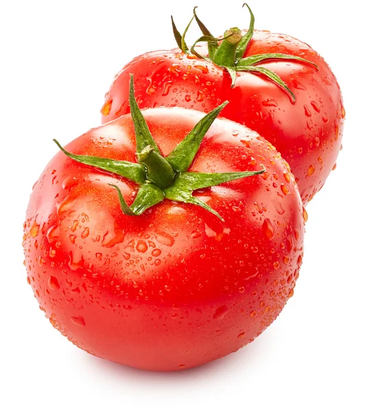 Tomaten mit Wassertropfen — Stockfoto