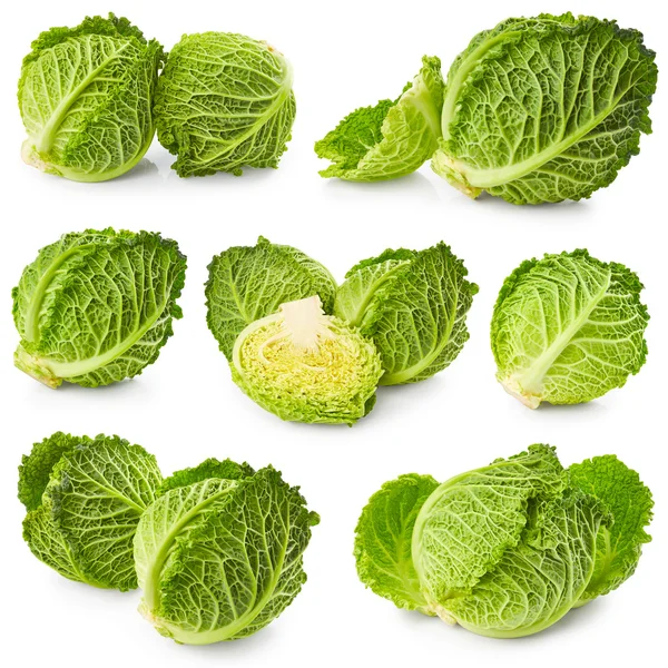 Set of savoy cabbages — Stock Image Set of savoy cabbages Royalty Free Stock Images