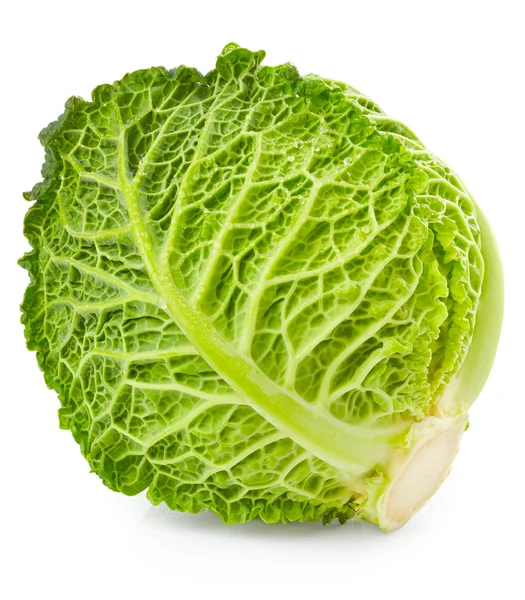 Savoy cabbage on white — Stock Photo, Image