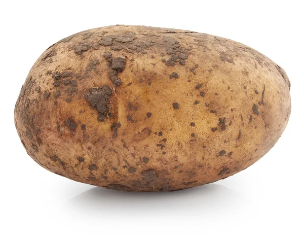 Rå potatis på vit — Stockfoto
