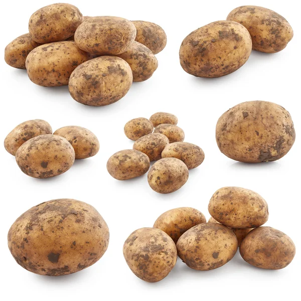 Conjunto de patatas crudas — Foto de Stock